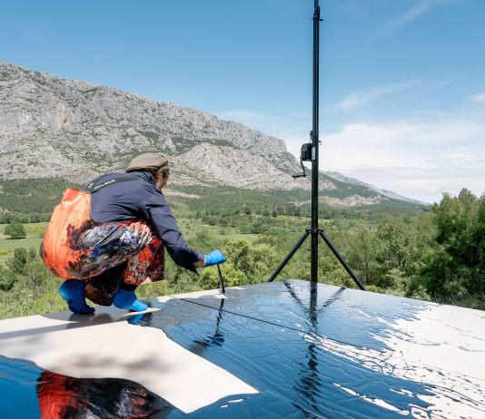 Il viaggio di Fabienne Verdier, sulle tracce di Cezanne Fabienne Verdier, sur les terres de Cezanne