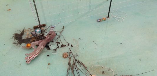 L’insostenibilità dell’arte alla Biennale Biennale d'Arte