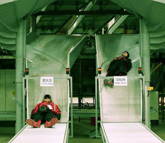 Pechino cyberpunk, nella mostra di Cao Fei al Centre Pompidou