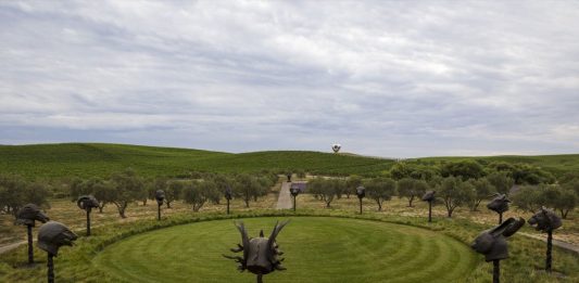 Donum Estate è il paradiso dell’arte contemporanea. E del Pinot nero Arte contemporanea da Donum Estate