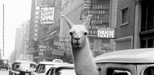 Inge Morath a Palazzo Ducale di Milano