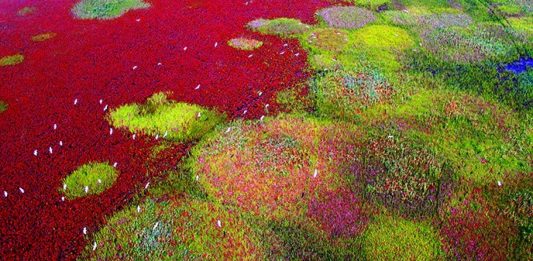 I 29 nuovi siti nella Lista del Patrimonio Mondiale dell’Unesco I nuovi siti inseriti nella lista del Patrimonio Mondiale dell'Unesco