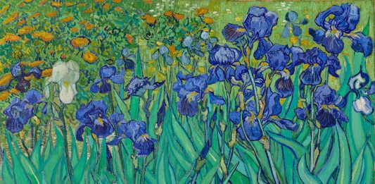 Database online dei musei: le migliori opere d’arte da scaricare Gli Iris di Van Gogh sono l'opera più scaricata dal database online del Getty.