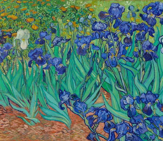 Database online dei musei: le migliori opere d’arte da scaricare Gli Iris di Van Gogh sono l'opera più scaricata dal database online del Getty.