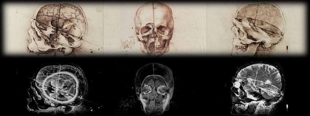 Leonardo. La macchina dell’immaginazionehttps://www.exibart.com/repository/media/2019/09/02_LdV_cranio-1068x401.jpg