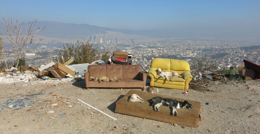 Alessandro Neretti (Nero) – All the Things that We Need (2015)https://www.exibart.com/repository/media/2019/09/1-1-1068x552.jpg