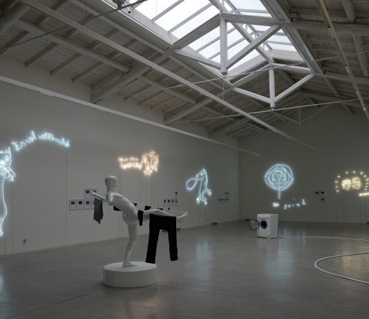 Christian Jankowski, Where do we go from here | Galleria Enrico Astuni