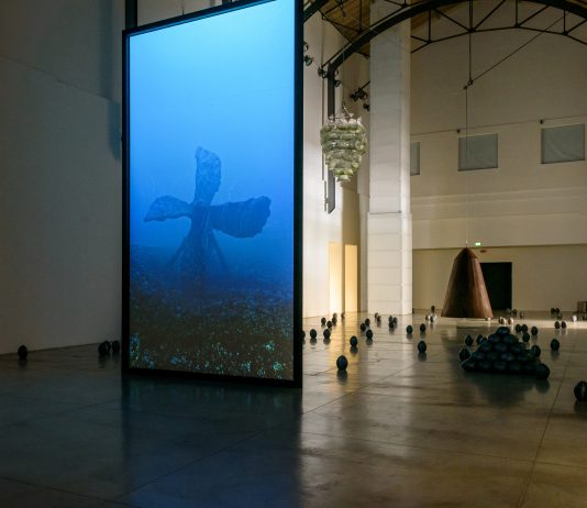 Julian Charrière | Mambo julian-charriere-all-we-ever-wanted-was-everything-and-everywhere-mambo