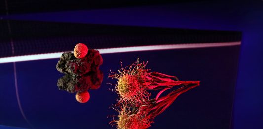 A Milano prove per un nuovo art district? Savage, Otto Zoo, Milano, art district