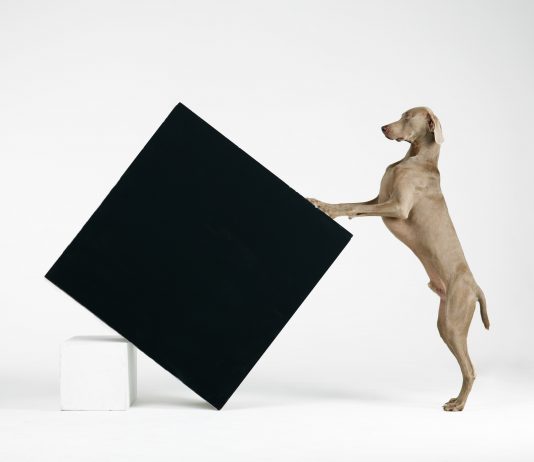 William Wegman al MASI Lugano William Wegman Constructivism 2014 Stampa ai pigmenti Proprietà dell’artista © William Wegman