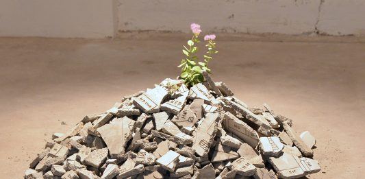 L’Università di Verona è una galleria d’arte contemporanea