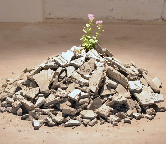 L’Università di Verona è una galleria d’arte contemporanea