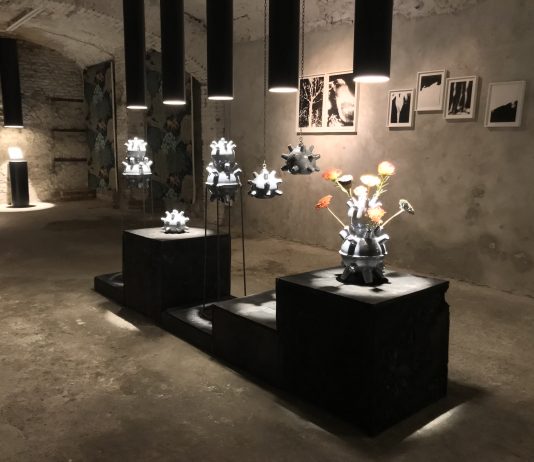 Bologna Design Week 2019: in giro per la città, dal Bauhaus alle librerie