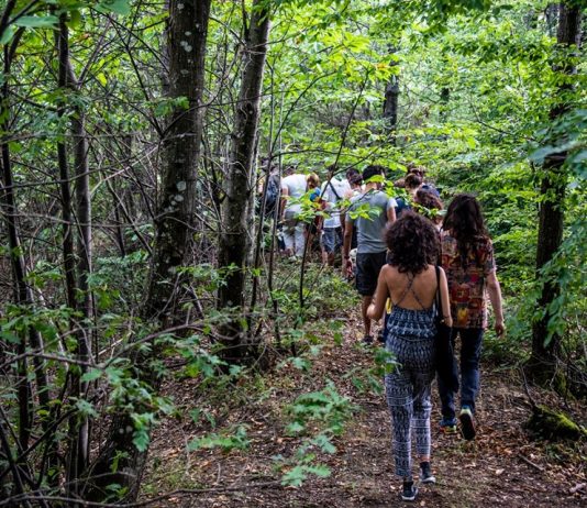 A spasso per festival toscani #2 L’importanza di essere piccoli L'importanza di essere piccoli