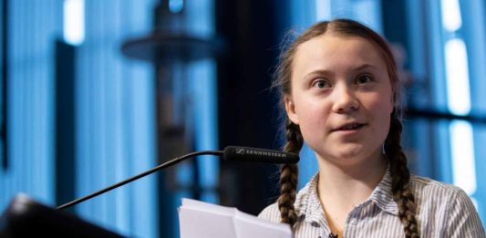 Il presidente degli Amici del Palais de Tokyo licenziato per le sue frasi contro Greta Greta Thunberg