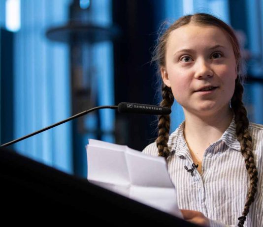 Il presidente degli Amici del Palais de Tokyo licenziato per le sue frasi contro Greta Greta Thunberg