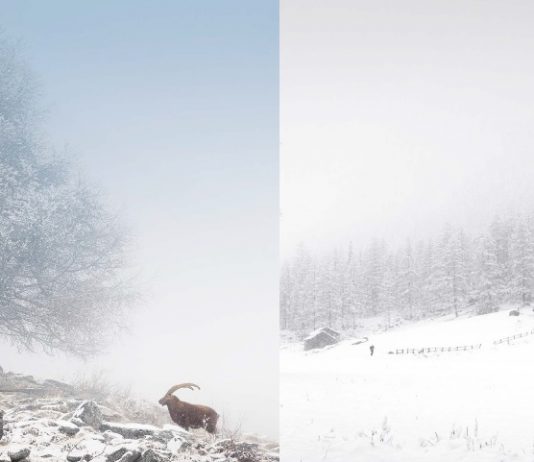 Giorgio Marcoaldi / Tonino Mosconi – In Paradiso