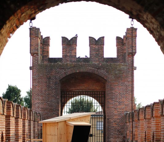 La Biennale di Soncino cresce e ricorda il giovane Marco Grazioli la-biennale-di-soncino-ricorda-marco-grazioli