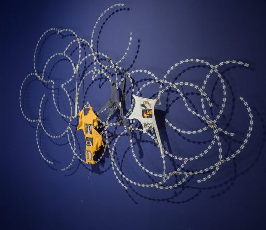 Joshua Miller e Hao Ni alla T293, Roma Hao Ni alla sua prima personale in Italia alla galleria T293 di Roma