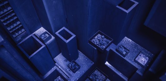 Magnifico Scompiglio, i prossimi mesi alla Tenuta di Vorno Levi van Veluw Scompiglio