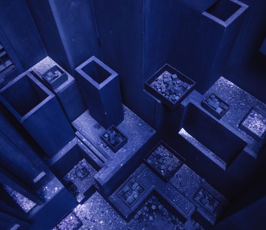 Magnifico Scompiglio, i prossimi mesi alla Tenuta di Vorno Levi van Veluw Scompiglio