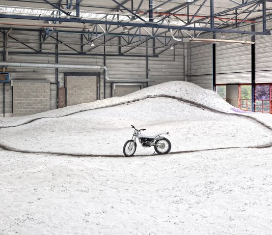 La Biennale di Lione. Dove le acque si confondono biennale-lione-2019