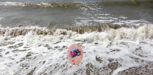 Al PAN di Napoli, il continuo divenire di Francesca Di Bonito Migrations, il progetto di Francesca Di Bonito al Pan di Napoli