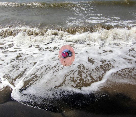 Al PAN di Napoli, il continuo divenire di Francesca Di Bonito Migrations, il progetto di Francesca Di Bonito al Pan di Napoli