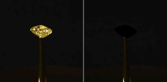 Creato per caso al MIT il nuovo nero che supera il Vantablack Diemut Strebe, The redemption of Vanity, 2019 (courtesy of Diemut Strebe)