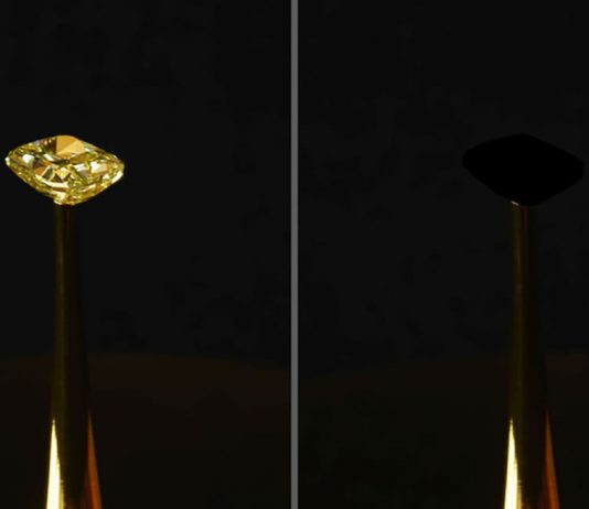 Creato per caso al MIT il nuovo nero che supera il Vantablack Diemut Strebe, The redemption of Vanity, 2019 (courtesy of Diemut Strebe)