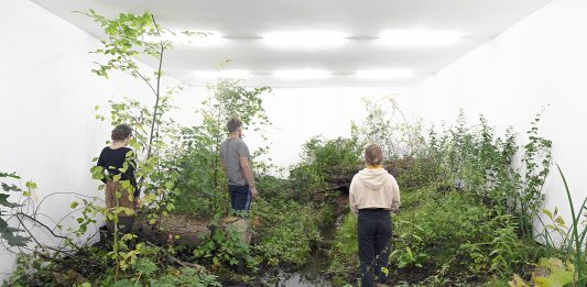 Isolation di Fabian Knecht, il white cube nella natura Fabian Knecht, Isolation, 2019 (courtesy of Alexander Levy)