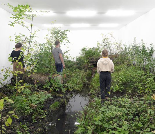Isolation di Fabian Knecht, il white cube nella natura Fabian Knecht, Isolation, 2019 (courtesy of Alexander Levy)