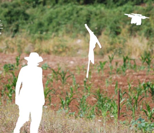 NeoRural Futures: la summer school di SpeculativeEdu e RUFA