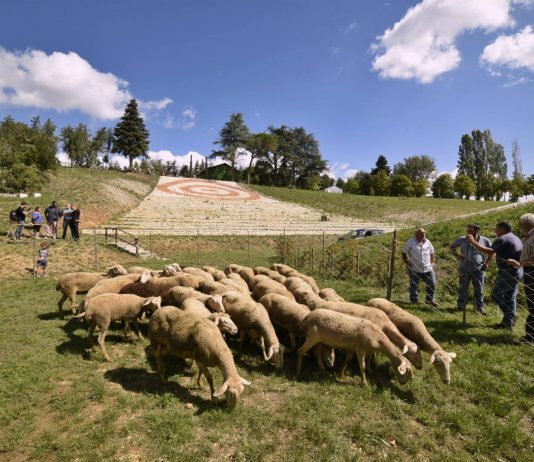Nel caterpillar di RAID, all’Aquila raid-caterpillar-laquila