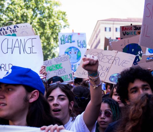 A Venezia, la protesta degli ambientalisti invade il red carpet La protesta degli ambientalisti a Venezia