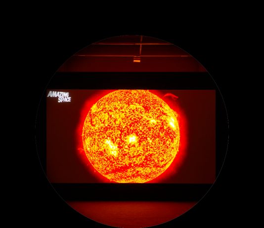 Torino Art Week: da Arthur Jafa a Paolo Grassino, fino a The Others