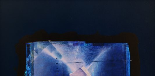 “Dialoghi” alla Galleria del Cembalo. Intervista a Joan Fontcuberta Paolo Gioli, “Autoanatomie", 1986