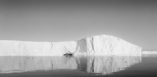 Francesco Bosso alla Galleria delle Stelline, Milano Francesco Bosso, Milano