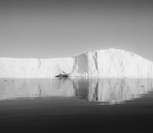 Francesco Bosso alla Galleria delle Stelline, Milano Francesco Bosso, Milano