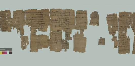 I papiri del Museo Egizio di Torino sono online su TPOP Papiri del Museo Egizio di Torino (courtesy of Museo Egizio)