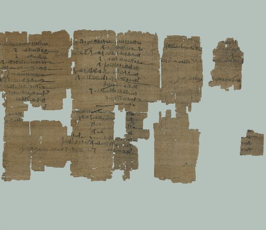 I papiri del Museo Egizio di Torino sono online su TPOP Papiri del Museo Egizio di Torino (courtesy of Museo Egizio)