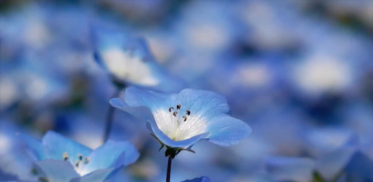 Appuntamento da ExtraDry con la giovane videoarte del Premio StraightUp