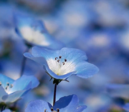 Appuntamento da ExtraDry con la giovane videoarte del Premio StraightUp