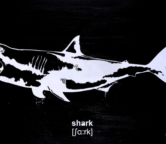 Mr. Savethewall, International Language | Deodato Arte Mr Savethewall