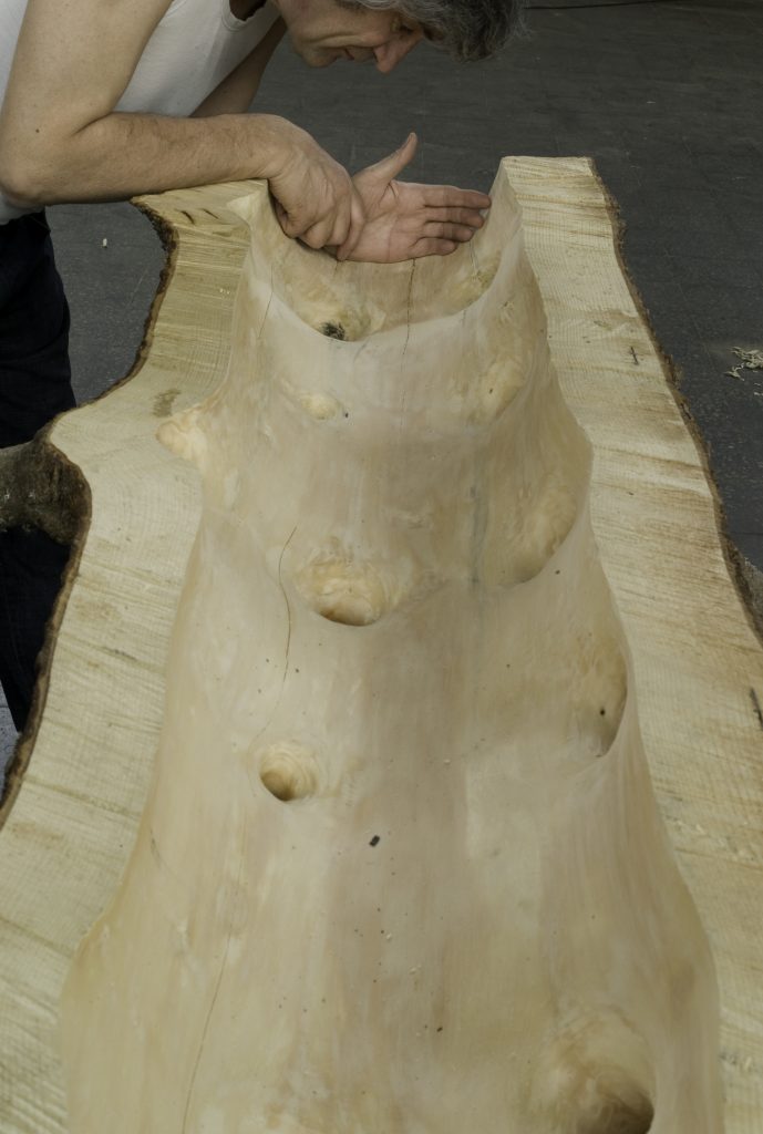 Matrice di linfa: modelli testa e mano (courtesy of Archivio Penone)