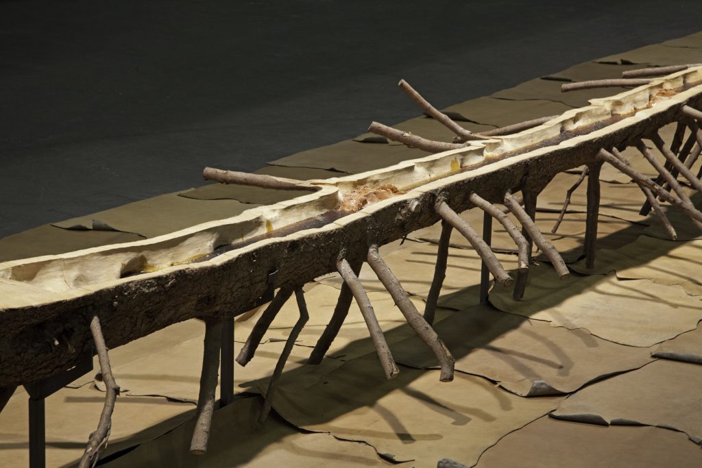 Giuseppe Penone, Matrice di linfa (courtesy of Sebastiano Pellion di Persano)