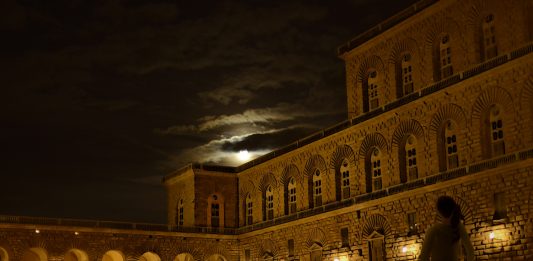 Delitti e misteri a Palazzo Pitti: conto alla rovescia per “The Medici Game” Palazzo Pitti nel videogioco The Medici Game: murder at Palazzo Pitti