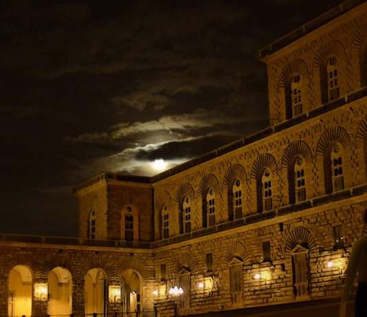 Delitti e misteri a Palazzo Pitti: conto alla rovescia per “The Medici Game” Palazzo Pitti nel videogioco The Medici Game: murder at Palazzo Pitti