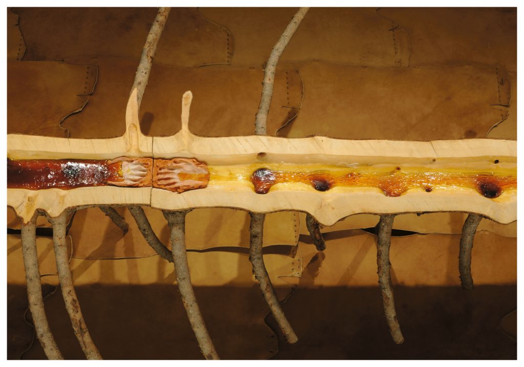 Matrice di Linfa (courtesy of Philippe de Gobert)