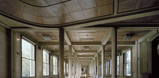 Il ritorno di Penone a Parigi, con la monumentale Matrice di Linfa